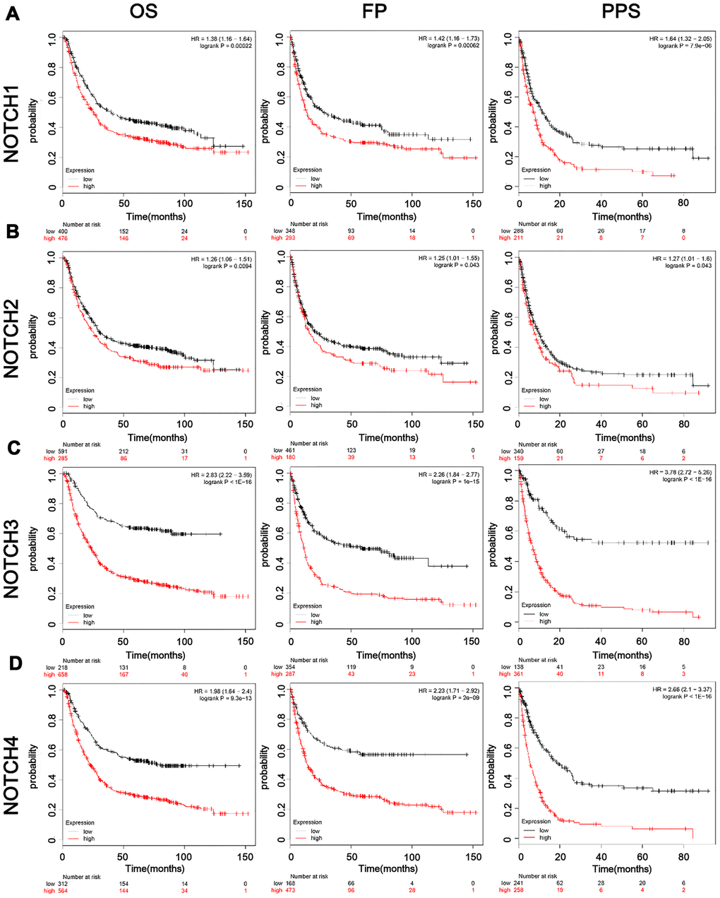 The prognostic value of mRNA level of Notch receptors in GC patients. (A–D). Logrank test was used in analysis of OS/FP/PPS.