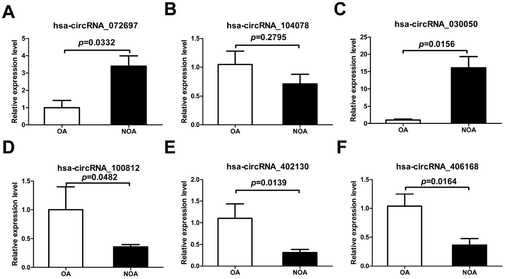 Confirmation of the six candidate circRNAs by qRT-PCR. All RNAs of 6 NOA and 3 OA patients were included. The experiments were repeated three times. 2-ΔΔCt method was used to measure gene expression. The values are presented as the mean ± SE.