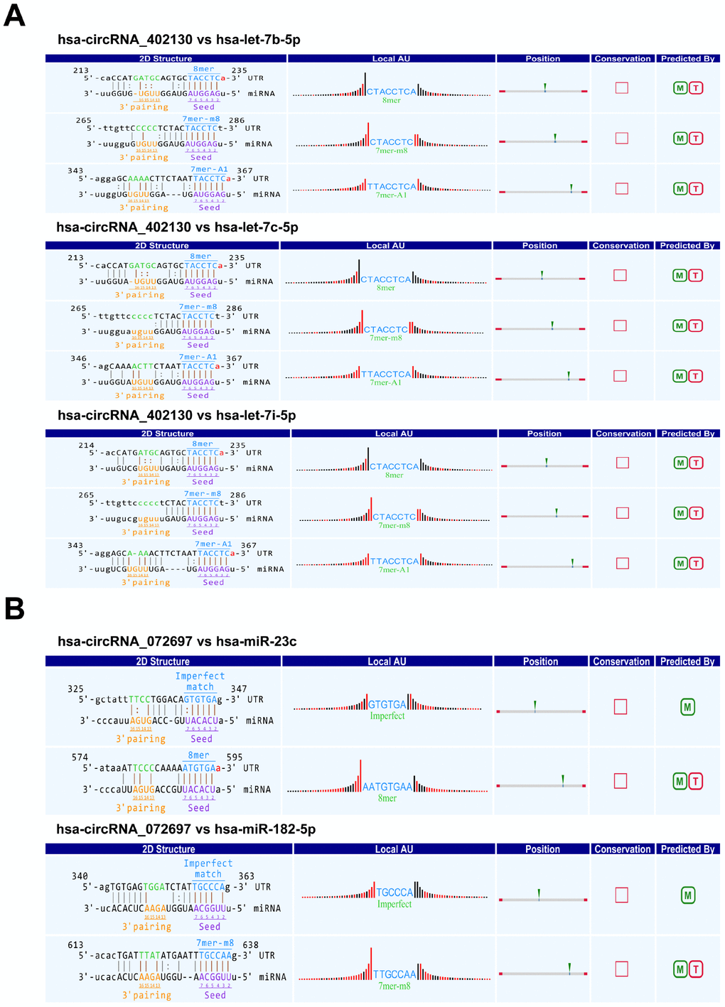 Prediction of circRNA/miRNA interactions by Arraystar’s homemade miRNA target prediction software based on TargetScan and miRanda. (A) The potential miRNA targets of hsa