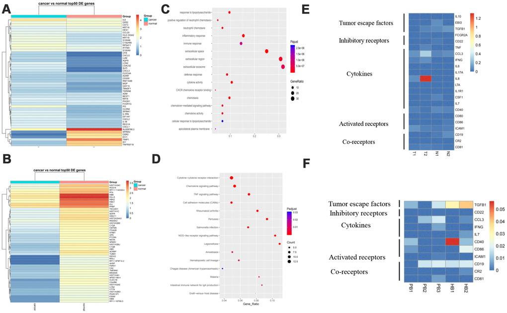 Gene signature of B cells and pathway analysis. (A) The expression analysis of functional molecules in B cell cluster in T vs N. (B) The expression analysis of functional molecules in B cell cluster in PB vs HB. (C) Pathway analysis of in B cell cluster in T vs N. (D) Pathway analysis of in B cell cluster in PB vs HB. (E) The expression analysis of functional molecules in B cell cluster in T vs N. (F) The expression analysis of functional molecules in B cell cluster in PB vs HB.