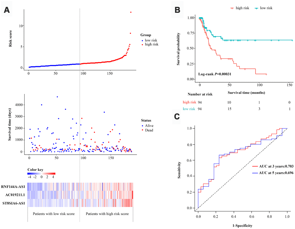 Identification and assessment of a three-lncRNA signature to predict OS in the primary dataset. (A) The risk score distribution, OS status and heatmap of the three-lncRNA signature in the primary dataset. (B) Kaplan-Meier curves for OS based on the three-lncRNA signature in the primary dataset. The tick-marks on the curve represent the censored subjects. The number of patients at risk is listed below the curve. (C) Time-dependent ROC curve analysis of the three-lncRNA signature for predicting OS in the primary dataset.