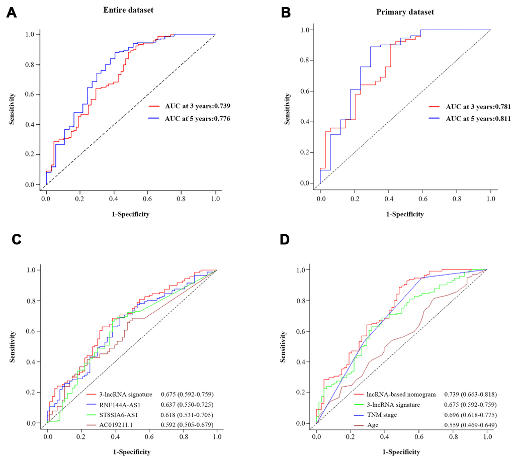 The prognostic value of the composite nomogram in comparison with other prognostic factors. Time-dependent ROC curves of the nomogram for predicting OS in the entire dataset (A) and the primary dataset (B). (C) The prognostic accuracy of the three-lncRNA signature compared with those of single lncRNAs. (D) The prognostic accuracy of the three-lncRNA-based prognostic nomogram compared with those of the three-lncRNA signature, TNM stage and age.