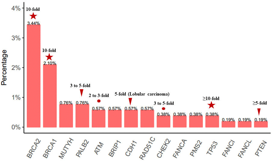 Frequency and distribution of LP/P germline variants. LP/P mutations identified in 62 cancer susceptibility genes in 524 unselected breast cancer patients. The multiples of genes associated with breast cancer risk are listed on the histogram.