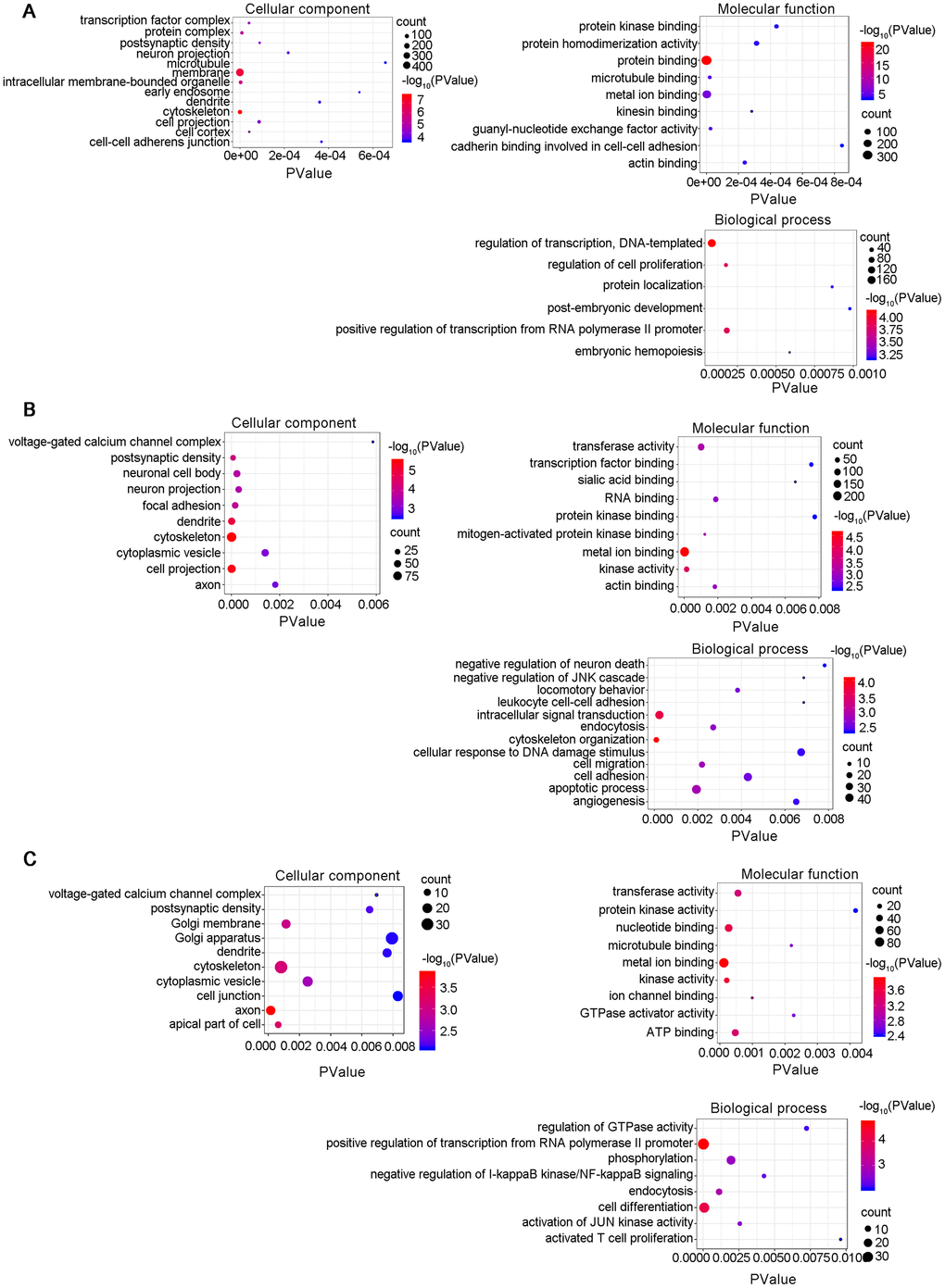 Gene Ontology (GO) enrichment annotations of the pathological progression of AD: biological process, cellular component, molecular function. The top terms were synapse (GO:0045202), cytoskeleton (GO:0005856), postsynaptic density (GO:0014069), cell-cell adherens junction (GO:0005913), dendrite (GO:0030425), axon (GO:0030424), and neuron projection (GO:0043005). (A) 6yes9no group, (B) 6no9yes group, and (C) 6yes9yes group. Significantly enriched GO pathways were defined as p values of https://david.ncifcrf.gov/summary.jsp) database.