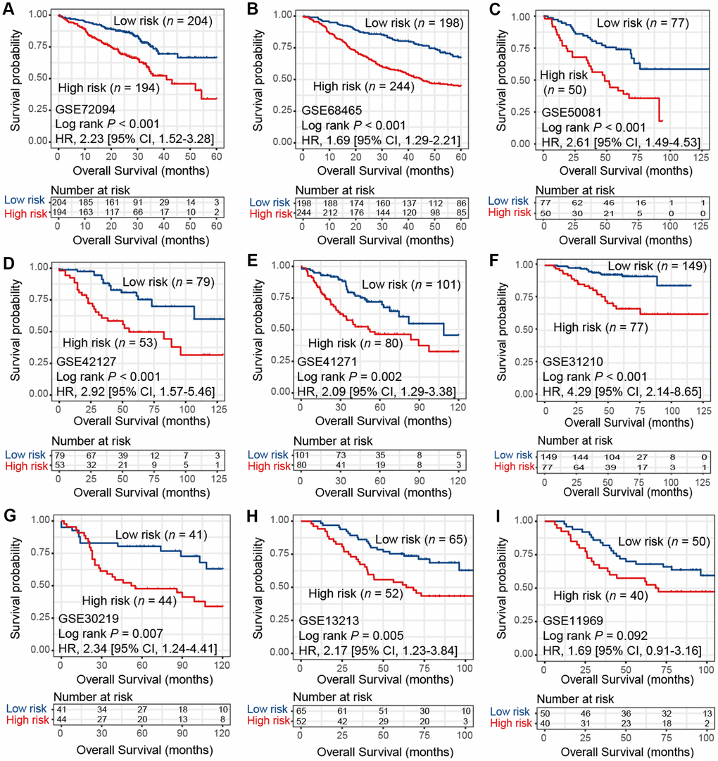 Kaplan-Meier plots of high-risk and low-risk subtypes of LUAD in 9 validation cohorts of (A) GSE72094, (B) GSE68465, (C) GSE50081, (D) GSE42127, (E) GSE41271, (F) GSE31210, (G) GSE30219, (H) GSE13213, and (I) GSE11969.