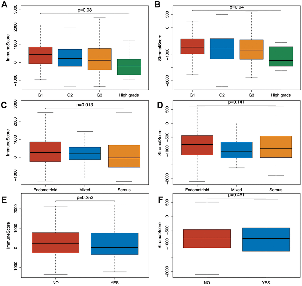 Relationship between immune and stromal scores and EC clinical and pathological data. (A, B) Distribution of immune and stromal scores of EC grades. (C, D) Distribution of immune and stromal scores of EC pathologic type, including endometrioid cancer, serous cancer and mix type. (E, F) Distribution of immune and stromal scores of new tumor event after initial treatment of EC.