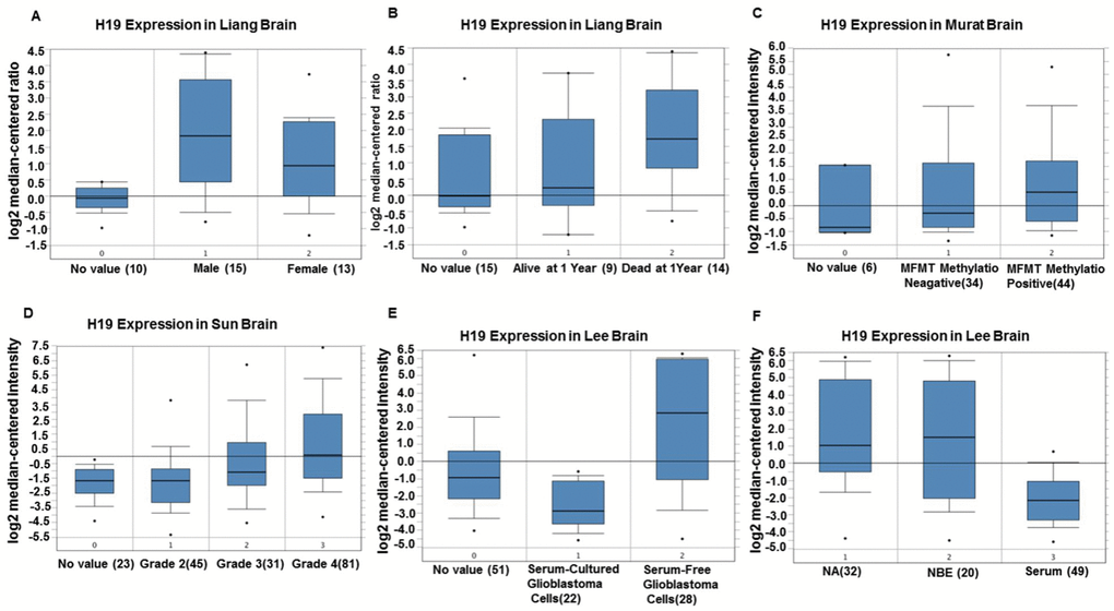 The correlation between H19 expression level and clinical characteristics of glioma patients by Oncomine. (A) Comparison of the expression level of H19 in men and women. (B) Comparison of the expression level of H19 in patients alive or dead after one year. (C) The expression level of H19 in patients with MGMT methylation negative was lower than that in patients with MGMT methylation positive. (D) The expression of H19 elevated with the increase of staging. (E, F) H19 expression in serum-free cultured glioma cells was higher than that in serum cultured glioma cells. Abbreviations: NA, No value; NBE, Serum-free culture.