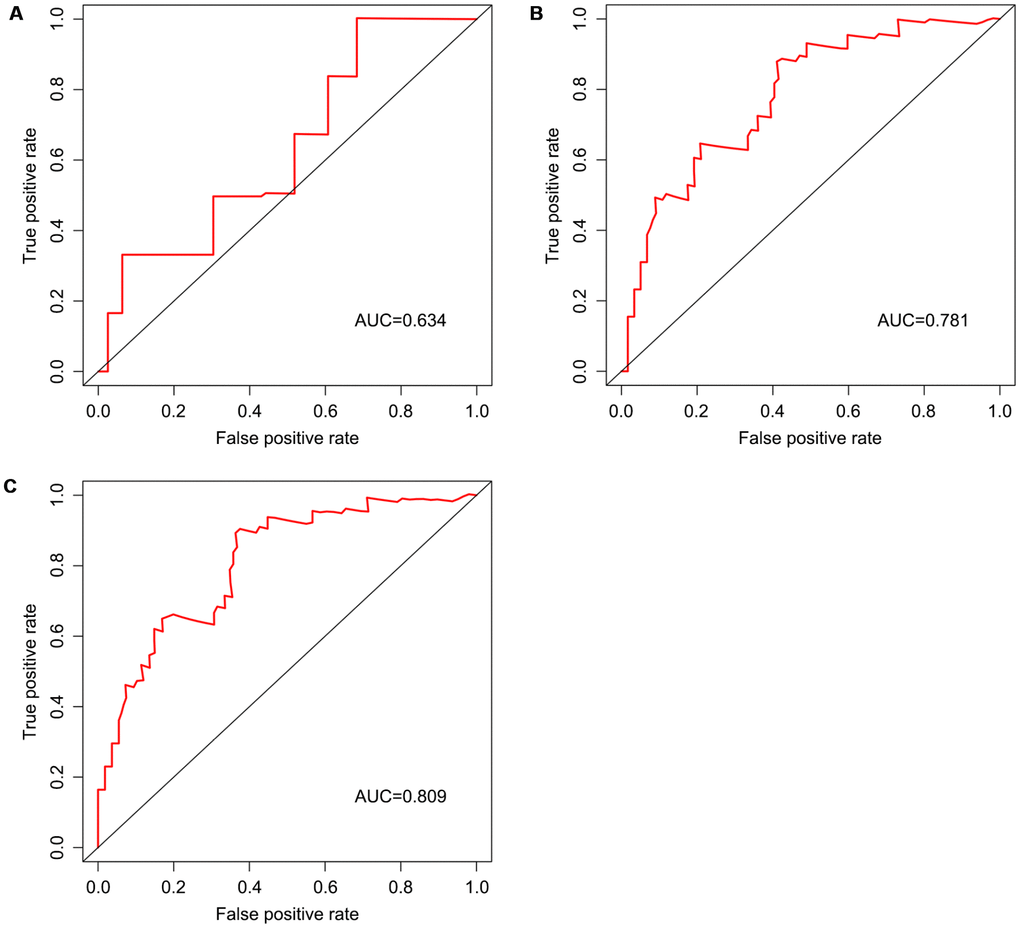 Survival prediction based on the risk score, determined by time-dependent ROC curve. Horizontal and vertical axes are false positive and true positive rates, respectively. The AUC values for the risk model in predicting the 1-year (A) 3-year (B) and 5-year (C) survival were 0.634, 0.781, and 0.809, respectively. ROC, receiver operating characteristic; AUC, area under the curve.