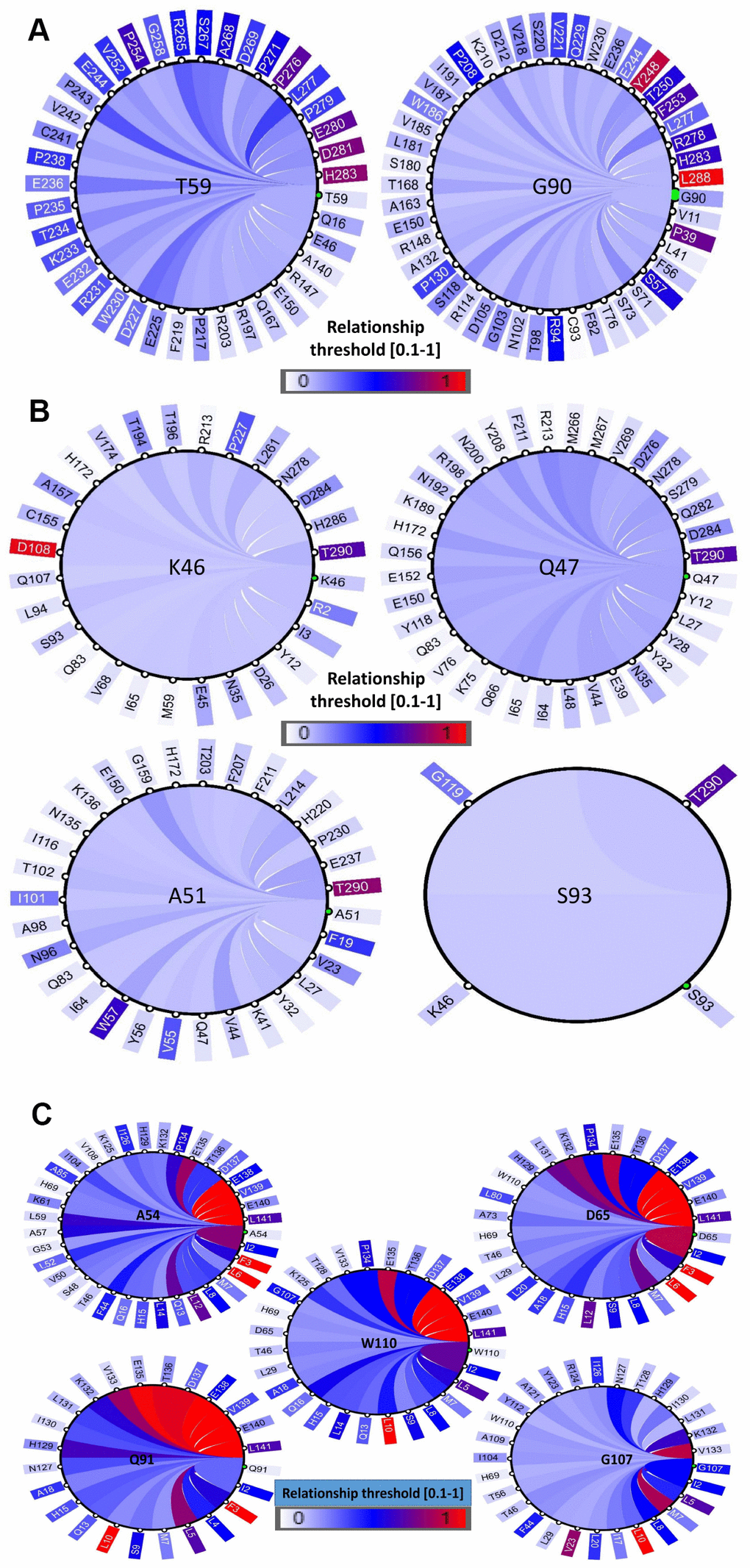 Coevolution analysis of positively selected conserved domain residues. The circular relation diagram centered on the residues with their top co-varying residues at cutoffs (A) PD1, (B) PD-L1 and (C) PD-L2. Labels on the diagram represent amino acid residues and their positions in the protein sequence. Colors of the arcs represent covariance scores between two given positions. Colors of the arcs represent covariance scores between two given positions.