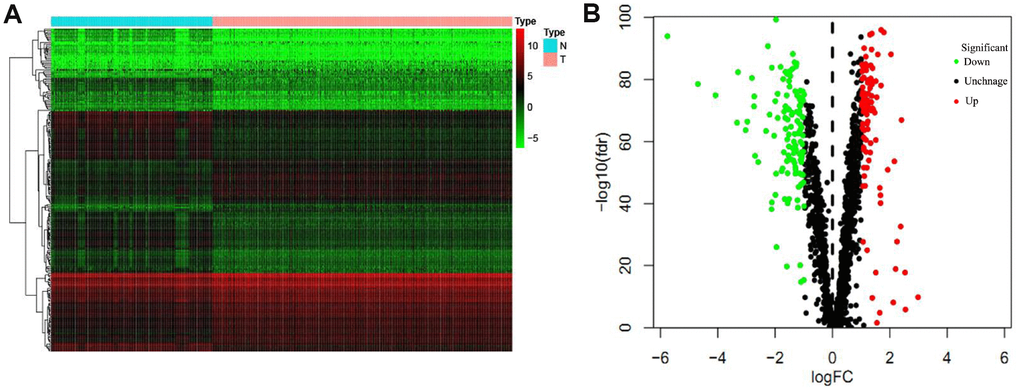 The differentially expressed RBPs in lung adenocarcinoma. (A) Heat map; (B) Volcano plot.