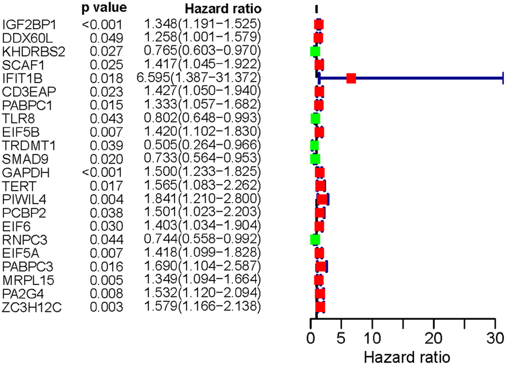 Univariate Cox regression analysis for identification of hub RBPs in the training dataset.