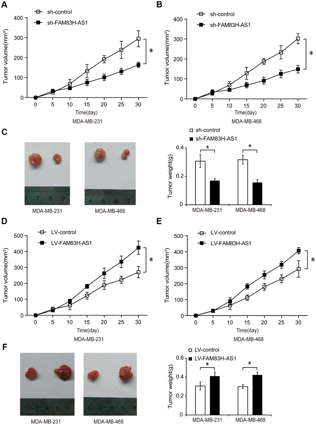 FAM83H-AS1 promotes tumor growth in TNBC xenograft mouse model. (A, B) Tumor volume measured every 5 days in mice injected with TNBC cells transfected with sh-control or sh-FAM83H-AS1. (C) Tumor weight in mice injected with TNBC cells transfected with sh-control or sh-FAM83H-AS1. (D, E) Tumor size measured in mice injected with TNBC cells transfected with LV-control or LV-FAM83H-AS1. (F) Tumor weight in mice injected with TNBC cells transfected with LV-control or LV-FAM83H-AS1. * p 