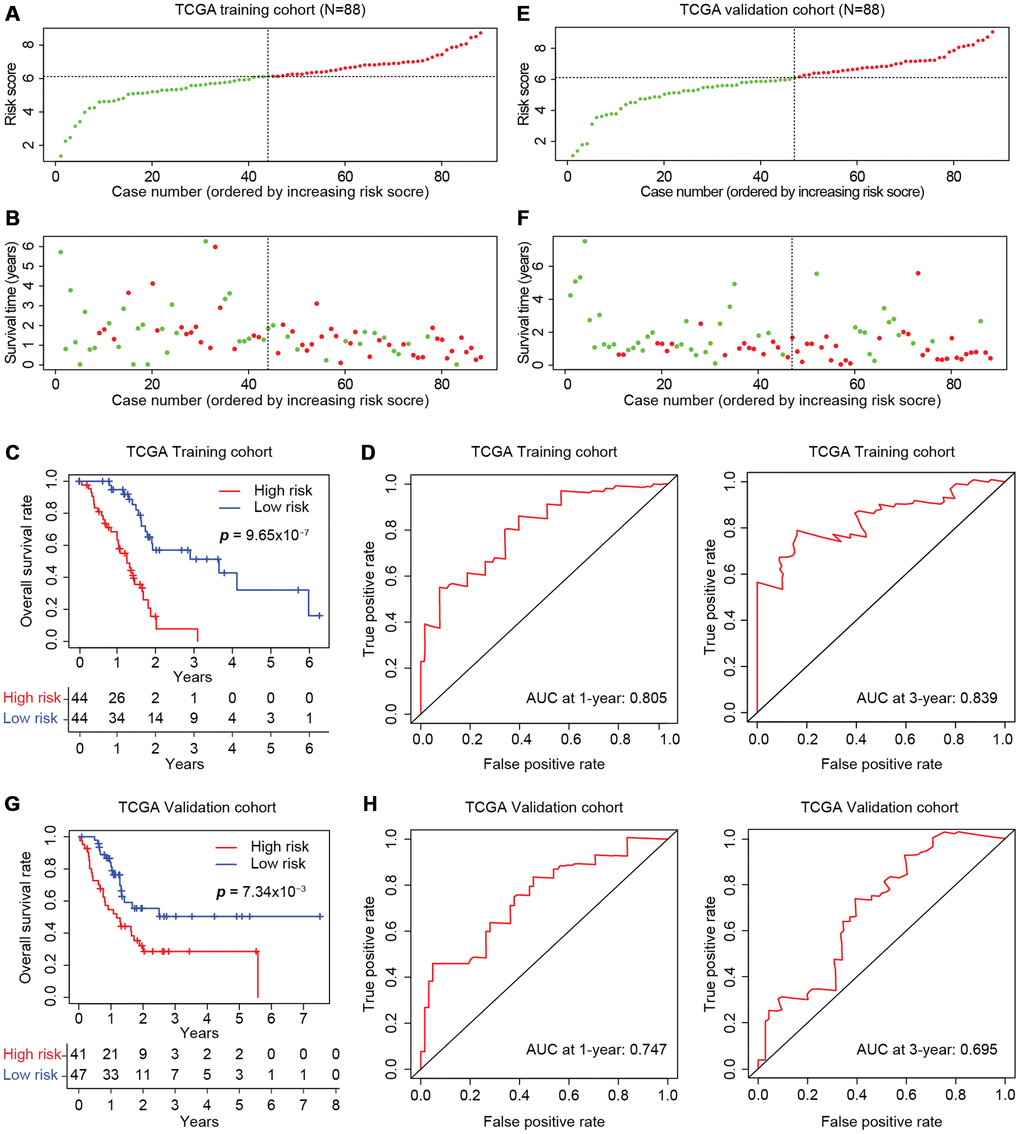 Development of the prognostic scoring model in TCGA cohorts. The distribution of risk scores is shown for the training (A) and validation (E) cohorts from TCGA. The dotted horizonal line indicates the cut-off level of the risk score used to stratify patients, and the dotted vertical line separates patients on the basis of low-risk (green) or high-risk (red). (B, F) The distribution of overall outcomes in the training (B) and validation (F) cohorts from TCGA. Surviving patients are shown in green, while deaths are shown in red. (C, G) Kaplan-Meier survival plots of patients predicted to be at risk for poor outcomes in the training (C) and validation (G) cohorts from TCGA. The number of patients remaining at a particular timepoint is shown at the bottom. (D, H) Time-dependent ROC curves for predicting one-year and three-year survival in the training (D) and validation (H) cohorts from TCGA.