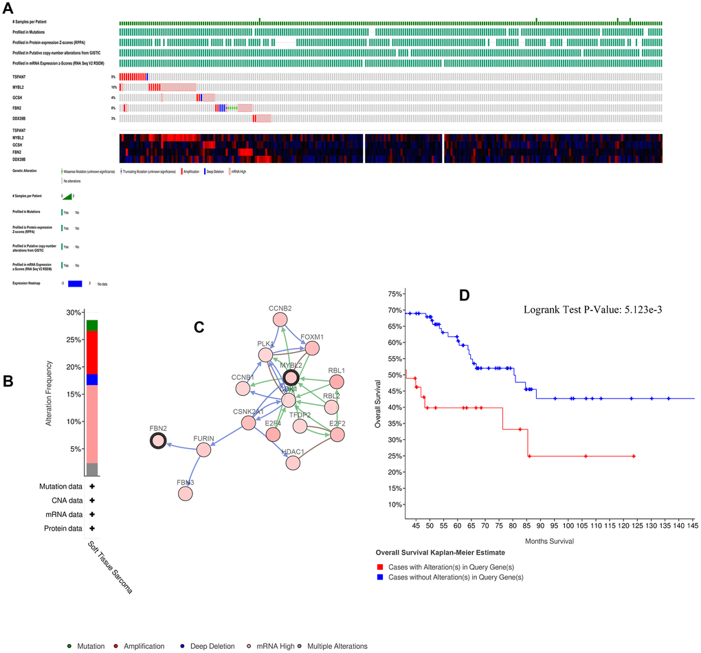 Alterations in expression of the five key genes. (A) 73 of 265 samples (28%) had alterations of the five key genes. (B) Frequencies of different alterations. (C) Network of key genes and most frequently altered neighbor genes. (D) Survival analysis for patients with and without alterations in the five key genes.