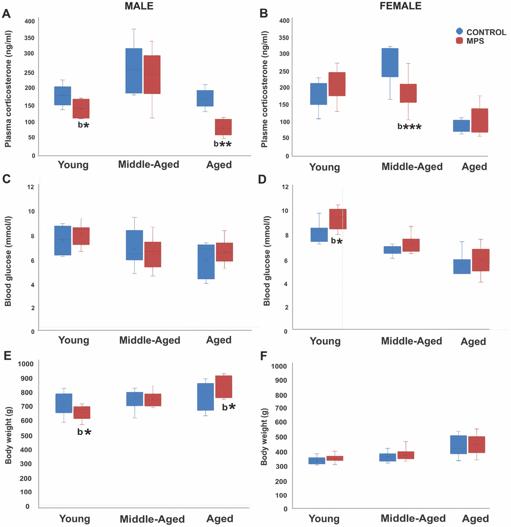 MPS determines physiological health trajectories. Plasma corticosterone and blood glucose levels and body weight in male and female rats revealed an effect of MPS across the lifespan. (A, B) MPS induced sex- and age-specific modifications in the stress response as indicated by reduced plasma corticosterone levels in young and aged males (A), and middle-aged females (B). (C, D) MPS elevated non-fasting blood glucose levels especially in young females. (E, F) MPS diminished body weight in young and increased it in old males (E). Body weight in males and females increased with age, while males weighed twice as much as females. Asterisks indicate significances: *p