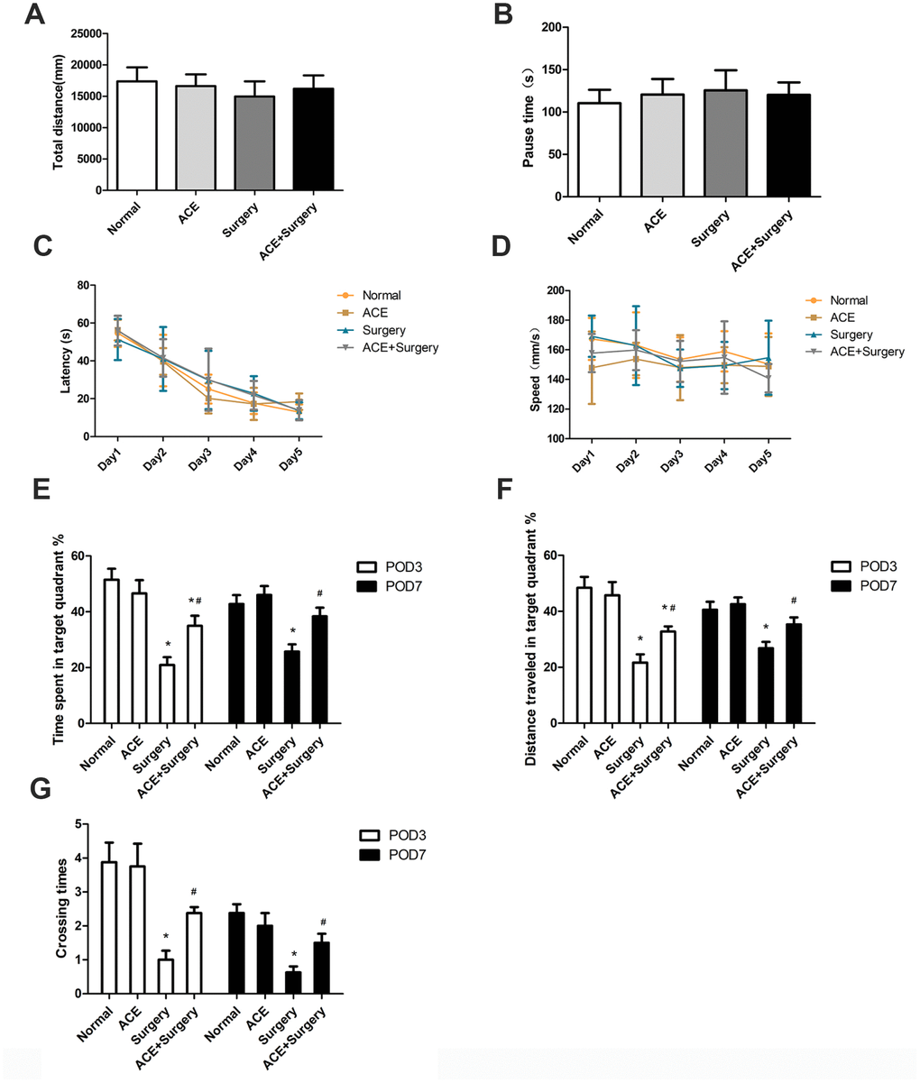 Acetate improved hippocampus-dependent neurocognition after surgery (n=8). OFTs were conducted on POD 3. (A) Total distance in the OFT. (B) Pause time in the OFT. Graphs display the latency (C) and average speed (D) in the training phase of the MWM test. On POD 3 and POD 7, the percentage of time spent in the target quadrant (E), the distance traveled in the target quadrant (F) and the crossing times (G) in the MWM test were recorded. Data are expressed as the mean±SEM, *P