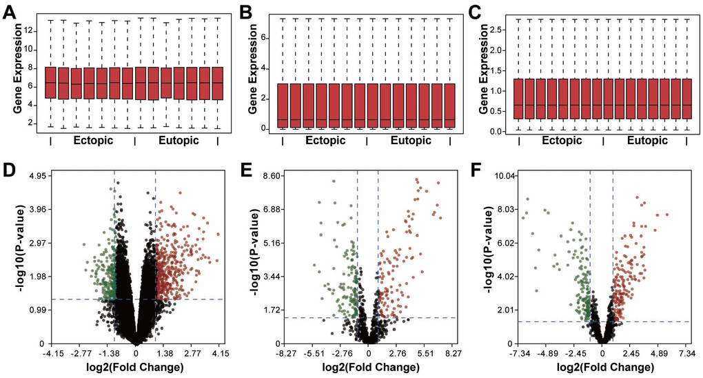 Identification of differentially expressed RNAs in endometriosis. (A–C) Box plots showing the expression of mRNAs, miRNAs, and lncRNAs. (D–F) Volcano plots of differentially expressed mRNAs, miRNAs, and lncRNAs. Red dots, upregulation, green dots, downregulation, black dots, rational expression.