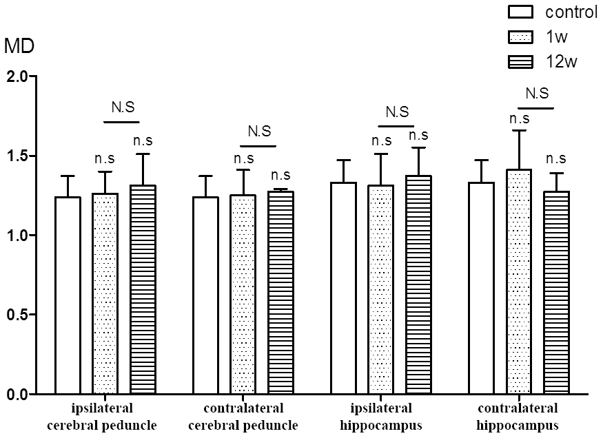 ROIs analysis of MD value. n.s P>0.05 compared with control group; N.S P>0.05 compared with 1st w.