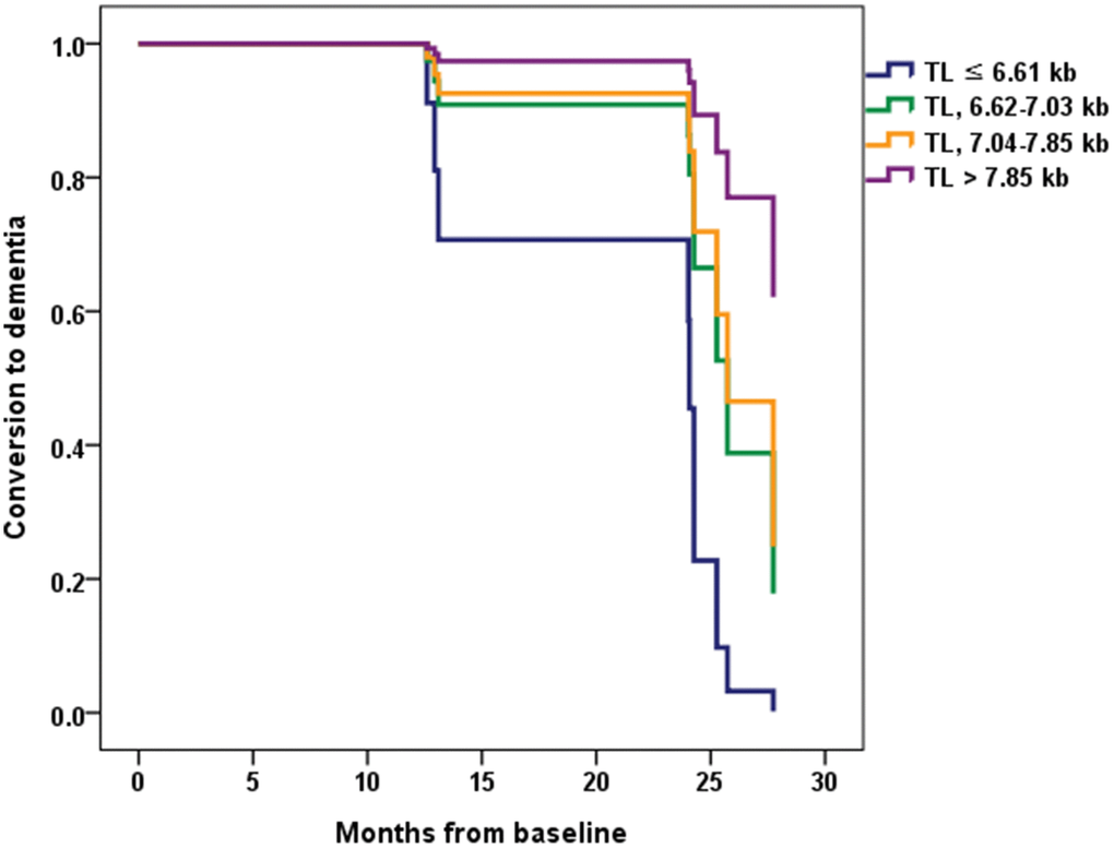 Conversion from mild cognitive impairment (MCI) to dementia according to the telomere length (TL) quartile groups in MCI A+. Normalized cumulative conversion data are based on Cox proportional hazards regression analysis adjusted for age as a covariate. The lowest TL quartile group (TL ≤ 6.61 kb) had a significantly greater probability of progressing to dementia compared with the highest TL quartile group (TL > 7.85 kb) in the MCI A+ participants (hazard ratio = 13.16, 95% confidence interval = 1.11 ~ 156.61, P = 0.041).