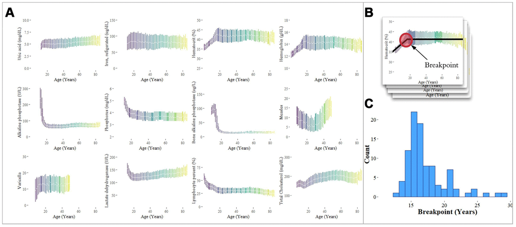 Analysis of individual analytes for linear and non-linear trends. (A) Laboratory analytes exhibit clear linear and non-linear trends with respect to age. The interquartile ranges of analyte values, plotted by age, are shown for selected analytes. Analytes were selected from our analysis of the Top-10 feature importance scores for each age group, and exhibit linearity, piecewise linearity, power, and U-shaped curves. (B) Breakpoints were estimated using piecewise linear regression. (C) The distribution of breakpoints for 94 analytes with a significant difference in slope around the breakpoint is shown with a median estimated breakpoint of 16.4 years.