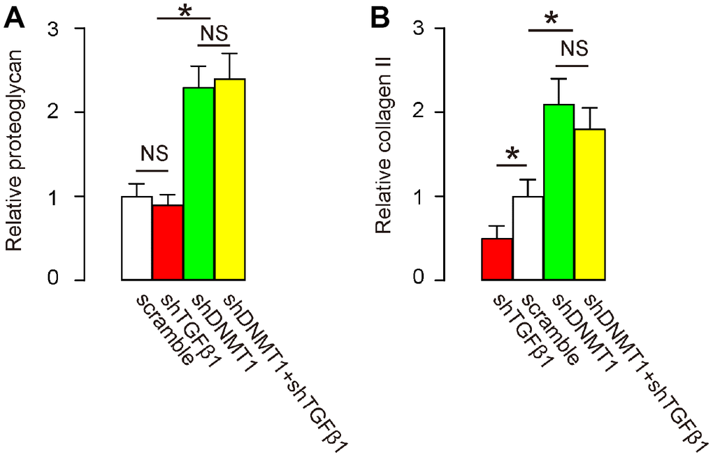 Effects of AAVs on spine proteoglycan and collagen II after LDD. (A, B) RT-qPCR for proteoglycan (A) and collagen II (B) in the LDD zone. *p