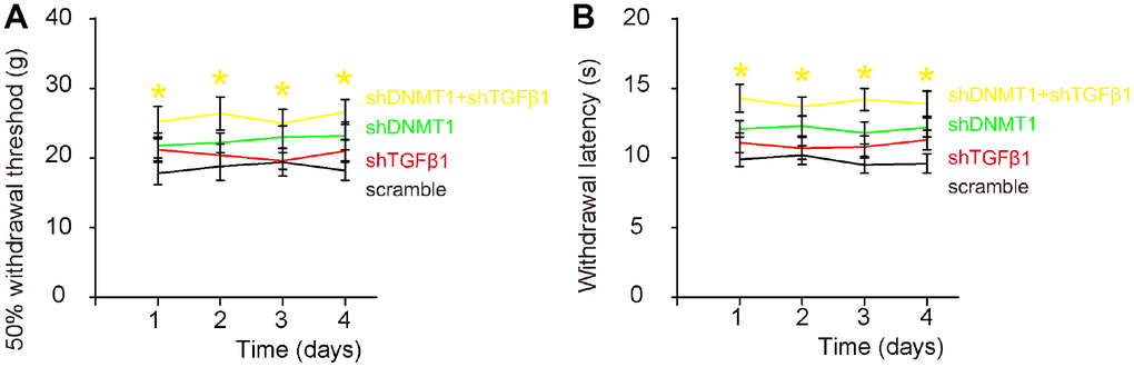 Effects of AAVs on pain assessment after LDD. Von Frey filament test was applied to evaluate the mechanical and thermal pain in 4 consecutive days. (A) Measurement of mechanically induced withdrawal threshold. (B) Measurement of thermally induced withdrawal latency of the paw. *(in yellow) p