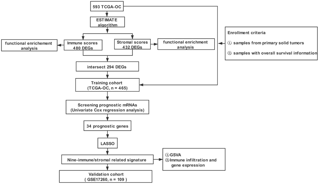 The overall design of the study. TCGA-OC: TCGA-ovarian serous adenocarcinoma; ESTIMATE: Estimation of STromal and Immune cells in Malignant Tumor tissues using Expression data; LASSO: least absolute shrinkage and selection operator; GSVA: Gene Set Variation Analysis.