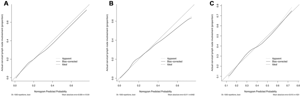 Calibration curves of the nomogram for predicting CRLNI in PTMC patients. (A) Calibration curve of the nomogram for training set. (B) Calibration curve of the nomogram for internal testing set. (C) Calibration curve of the nomogram for external testing set. The x-axis represents the predicted CRLNI. The y-axis represents the actual CRLNI. The diagonal dotted line stands for a perfect prediction using an ideal model. We drew the solid line to represent the performance of the nomogram, of which the closer fit to the diagonal dotted line represents the better prediction of the nomogram.