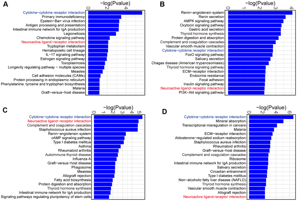 KEGG pathway analysis of the DEGs identified in comparison of MCT-treatment with control. (A) KEGG pathway terms enriched in DEGs at week 1, (B) KEGG pathway terms enriched in DEGs at week 2, (C) KEGG pathway terms enriched in DEGs at week 3 and (D) KEGG pathway terms enriched in DEGs at week 4. Only the top 20 KEGG pathway terms were showed.