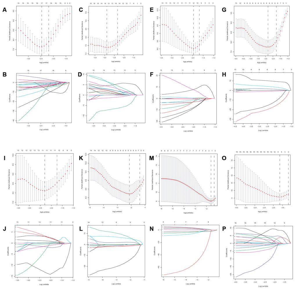 Lasso regression analysis of survival-associated AS events. AA cohort (A, B), AD cohort (C, D), ES cohort (E, F), the whole cohort (G, H), AP cohort (I, J), AT cohort (K, L), ME cohort (M, N) and RI cohort (O, P).