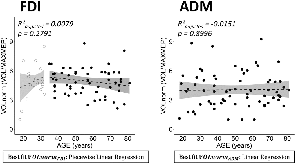 Normalized volume (VOLnorm = volume (VOL)/maximal motor evoked potential (MAXMEP)) for dominant first dorsal interosseus (FDI) (left panel) and abductor digiti minimi (ADM) (right panel) by age. Below each plot the best fitting model is stated in a rectangle. Ribbons depict the 95% confidence interval of the fit. Both regressions were non-significant.