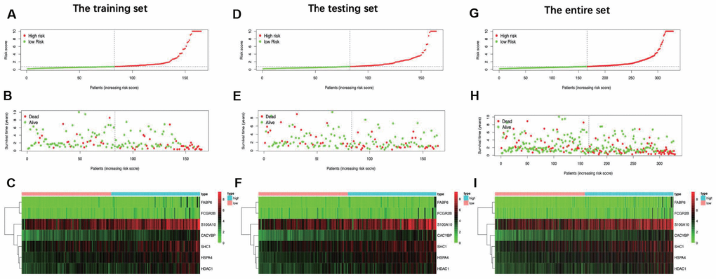 Distribution of risk score, overall survival (OS), gene expression in (A–C) training set, (D–F) testing set and (G–I) entire set. Distribution of risk score, OS and heat map of the expression of 7 signature genes in low-risk and high-risk groups are listed in the picture from top to bottom.