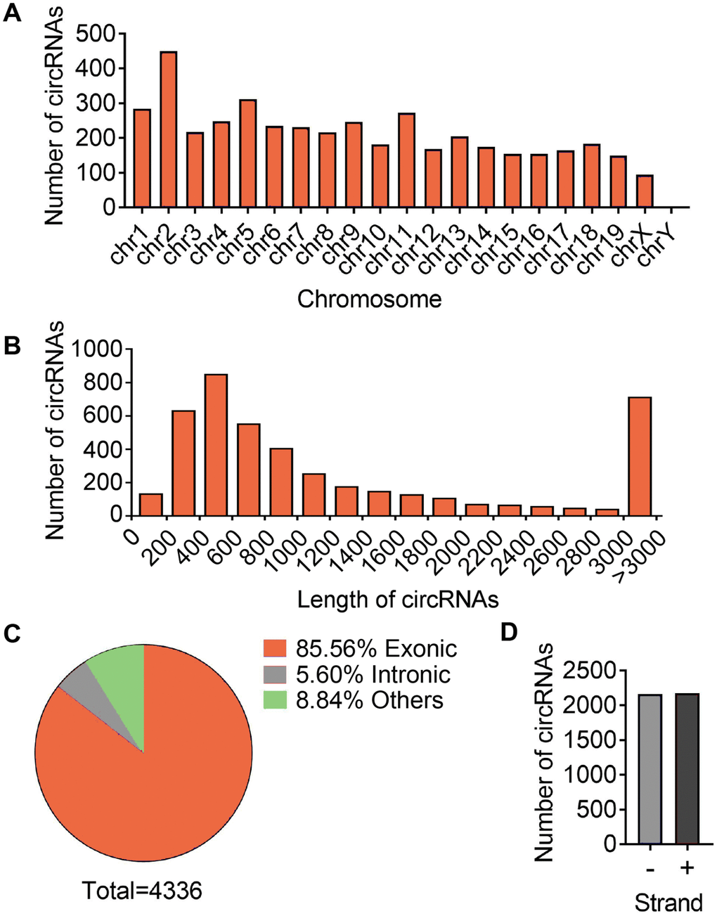 Differences and characterizations of circRNA expression profile. (A) Chromosomal distributions of annotated circRNAs. (B) Predicted spliced length of circRNAs. (C) The circRNA were classified into three types according to the relationship of the genomic loci with their associated coding genes. (D) Distribution of circRNA in sense (+) and antisense (-) strand of DNA.