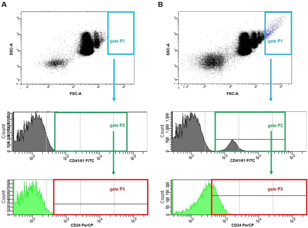 Representative dot plots and histograms showing gating strategy for the detection of platelet-cancer cells aggregates in mice injected with 4T1 cells or saline. The parent gate was set to the cancer cells based on FSC/SSC physical parameters (gate P1, in blue). Next, within this gated population, platelet-cancer cells aggregates were identified according to the surface presence of both CD41/61 (a unique antigen for platelets) (gate P2, in green) and CD24 (marker for cancer cells) (gate P3, corrected on the isotype binding, in red) in blood samples taken from mice five weeks after the injection with saline (A) or 4T1 breast cancer cells (B).