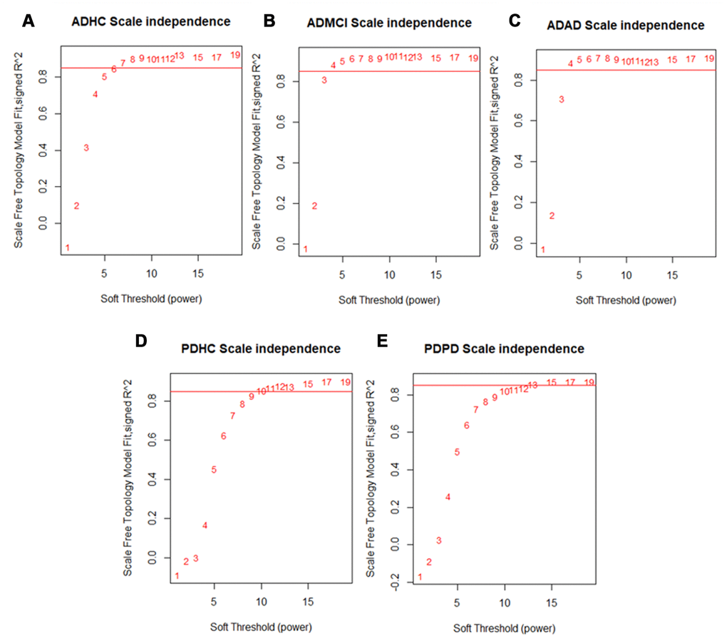 Scale free network topology (signed R2) for different soft-thresholding powers of data. A soft thresholding power that achieved a scale-free topology of R2 of 0.85 was chosen to define approximate scale-free topology. We found that the (A) ADHC data achieved approximate scale-free topology at a soft thresholding power of 6 and the (B) ADMCI and (C) ADAD data at a soft thresholding power of 4. The (D) PDHC data reached approximate scale-free topology at a soft thresholding power of 10 and (E) PDPD data at a soft thresholding power of 13.