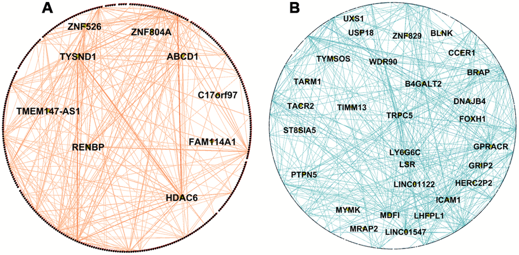 Network visualization of PD and AD modules. (A) Visualization of WGCNA network connections of the PDPD salmon network module found to be associated with insulin resistance and not preserved in the PDHC network. It shows network connections whose adjacency is above 0.2, including all 351 nodes and 595 of 61776 edges. (B) Visualization of WGCNA network connections of the ADAD blue module found to be associated with regulation of lipolysis in adipocytes and neuroactive ligand-receptor interaction and not preserved in ADHC and ADMCI networks. It shows network connections whose adjacency is above 0.55, including all 1076 nodes and 1458 of 1157776 edges. Hub genes are in the center of the network and are labelled with names. Networks visualized in Gephi [23].