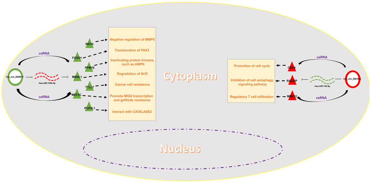 class="figure-viewer-img"