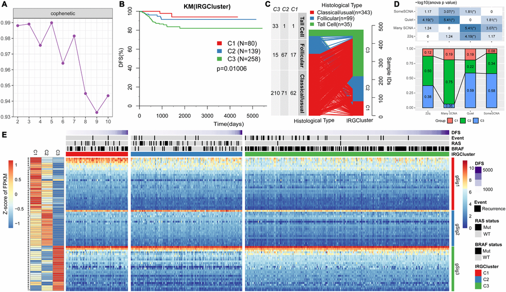 IRGs-based THCA immunophenotyping. (A) The interaction correlation coefficient (y-axis) is plotted against the number of subtypes (2-10; x-axis). Stability decreased between 3 and 4 subtypes, indicating that there are at least three molecular features in the expression profile of TCGA THCA IRGs. (B) KM curve showing the progression-free survival of each immunotype. (C) Comparison of pathological subtypes with IRGCluster. (D) Comparison of molecular subtypes with copy number variation and IRGCluster. The top panel is the heat map showing significant difference in the distribution of IRGCluster in the four subtypes with copy number variation. Bottom panel shows the distribution of IRGCluster in the four subtypes with copy number variation. (E) Heatmap showing THCA immunotypes and gene module gene expression, left panel is 74 genes on IRGCluster average expression level, * indicates FDR 