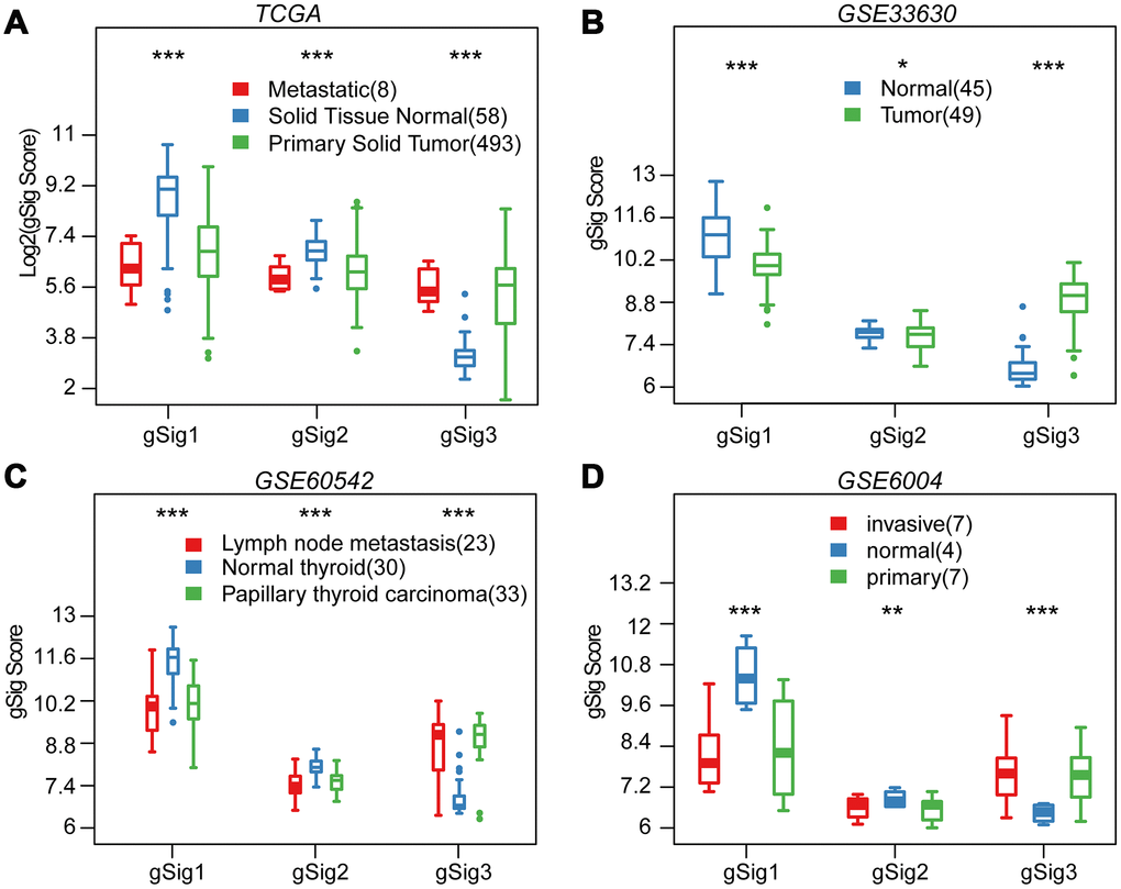 Distribution of gSig score in different tissues. (A) Distribution of gSig score in metastatic/normal/primary tissues in TCGA dataset. (B) Distribution of gSig score in normal/primary tissues in GSE33630 dataset. (C) Distribution of gSig score in metastatic/normal/PTC tissues in GSE60542 dataset. (D) Distribution of gSig score in invasive/normal/primary tissues in GSE6004 dataset.