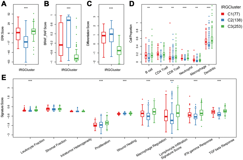 The immune landscape of THCA IRGCluster. (A–C) Distribution of ERK score, BRAF