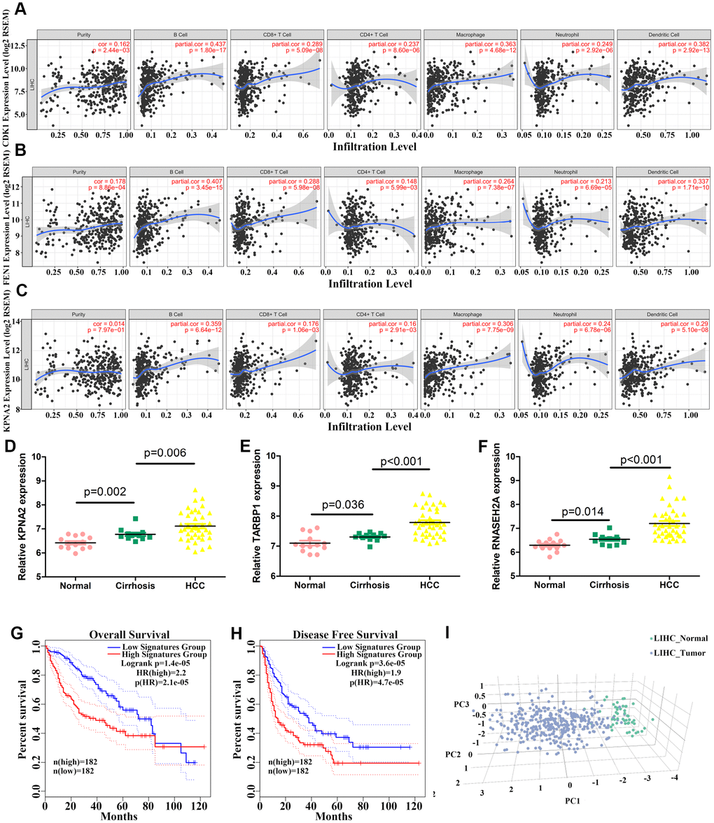 Correlation between levels of hub genes and immune cell infiltration and identification of three hub genes. (A–C) Correlation between CDK1 (A), FEN1 (B), and KPNA2 (C) levels and immune cell infiltration in hepatocellular carcinoma (HCC) tissues. Each dot represents a sample in the TCGA cohort. (D–F) KPNA2 (D), TARBP1 (E), and RNASEH2A (F) mRNA levels in normal, cirrhosis, and HCC samples from GSE89377. (G–H) Analysis of the correlation between three-hub gene expression signatures and overall survival (OS) (G) or disease-free survival (DFS) (H) for HCC patients of the TCGA cohort. (I) HCC patients could be effectively distinguished from healthy controls by principle component analysis (PCA) based on expression of the three genes.