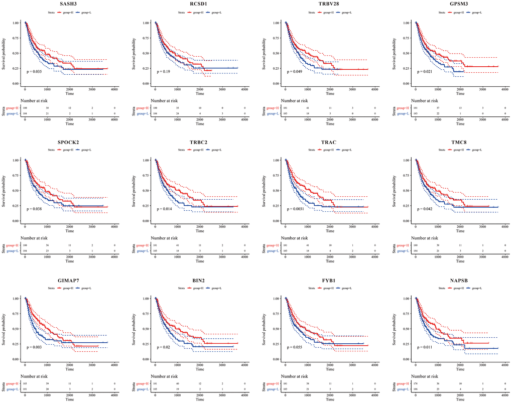 Kaplan-Meier curve for prognostic analysis of the 12 immune microenvironment genes. The red dotted line and blue dotted line respectively represented upper and lower limit of 95% confidence intervals of gene expression.