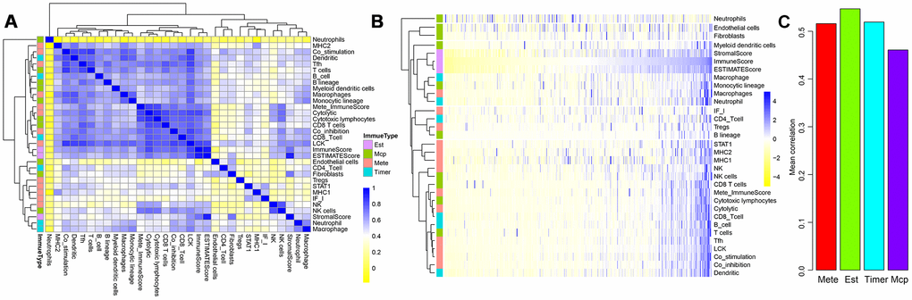 Correlations between three ESTIMATE scores and other types of immune-related scores. (A) Clustering heat map analyzed Spearman’s rank correlation coefficient. (B) Hierarchical clustering heat map using correlation to calculate distance. (C) Mean correlations of four methods using to calculating immune scores.