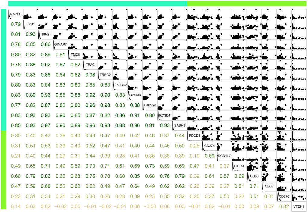 Correlation between the 12 immune microenvironment genes (blue green bar) and 8 immune checkpoint genes (light green bar). Lower panel was Pearson correlation coefficient between each gene. Upper panel was scatter plot of expressions between each gene. Diag panel was expression of each gene.