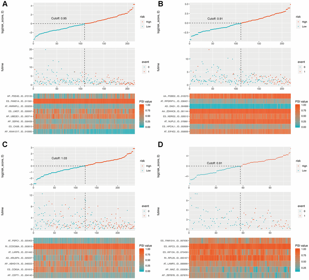 Determination and analysis of the final prognostic models in four cohorts. (A) LUAD