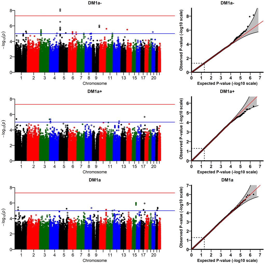 Results of genome-wide association study of random slopes of DM (DM-RS) for “age-dependent” DM variants (DMa1−, DMa1+, DMa1; see Methods).