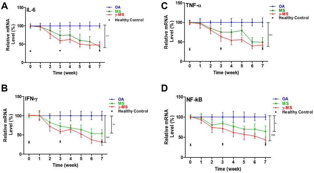 Longitudinal qPCR analysis of serum inflammatory markers of OA. (A–D) Relative ratio of mRNA expression of IL-6, TNF-a, IFN-γ and NF-κb between OA control; MS and γ-MS treated mice and healthy control. Three-time points (black diamonds) at week 0, 3 and 7 represent the relative mRNA level from the healthy control mice. *P