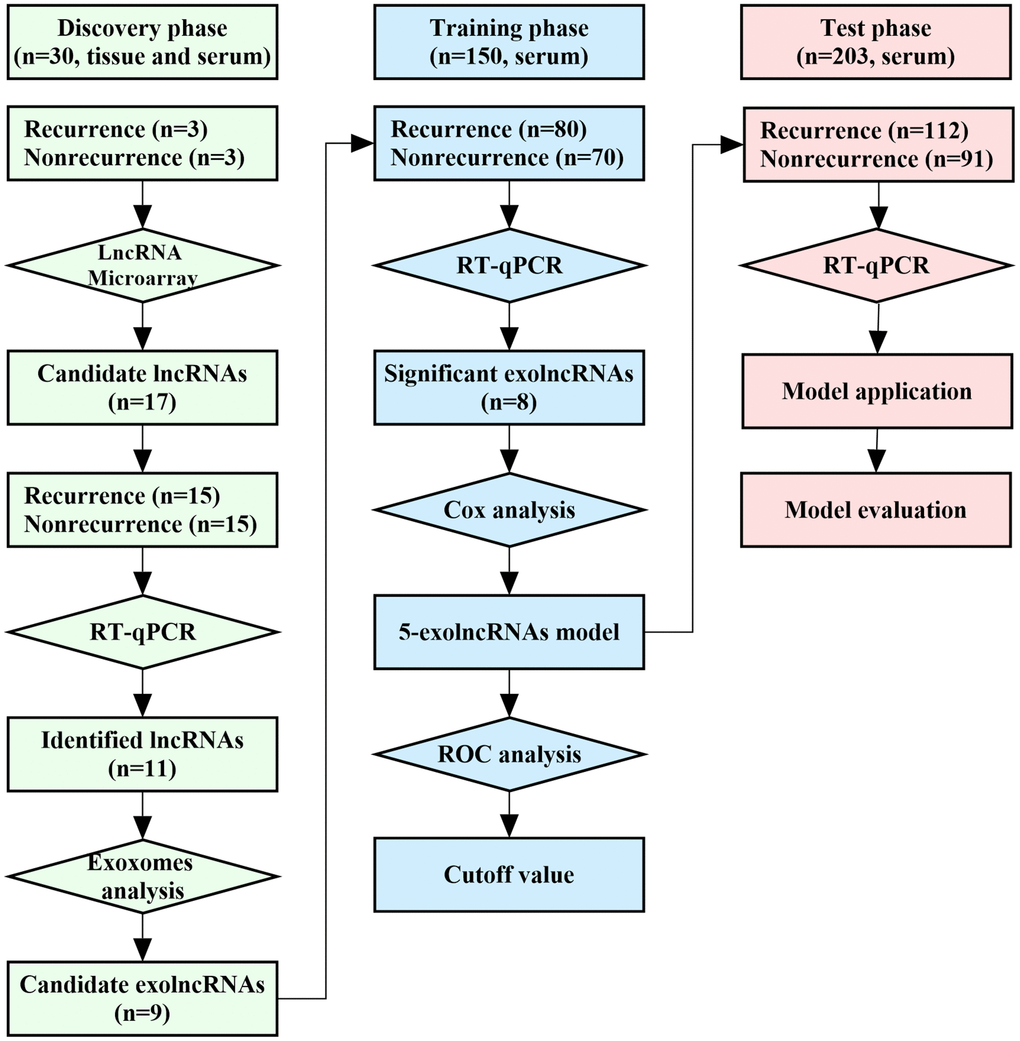 Workflow of the study.