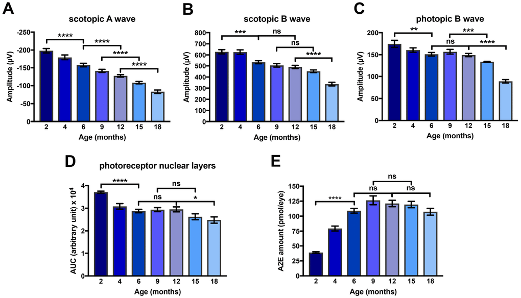 Kinetics of loss of amplitude of scotopic A and B waves and photopic B wave, of A2E accumulation and of loss of photoreceptor nuclear layers in Abca4-/- Rdh8-/- mice aged between 2 and 18 months. (A) Scotopic A wave recorded at a flash intensity of 10 cd.s/m2 (n = 30-50). (B) Scotopic B wave recorded at a flash intensity of 10 cd.s/m2 (n = 30-50). (C) Photopic B wave recorded at a flash intensity of 30 cd.s/m2 (n = 30-50). (D) Kinetics of loss of photoreceptor nuclear layers (n = 7-14). (E) Kinetics of A2E accumulation (n = 15-40). Bars represent mean ± s.e.m. *pppp