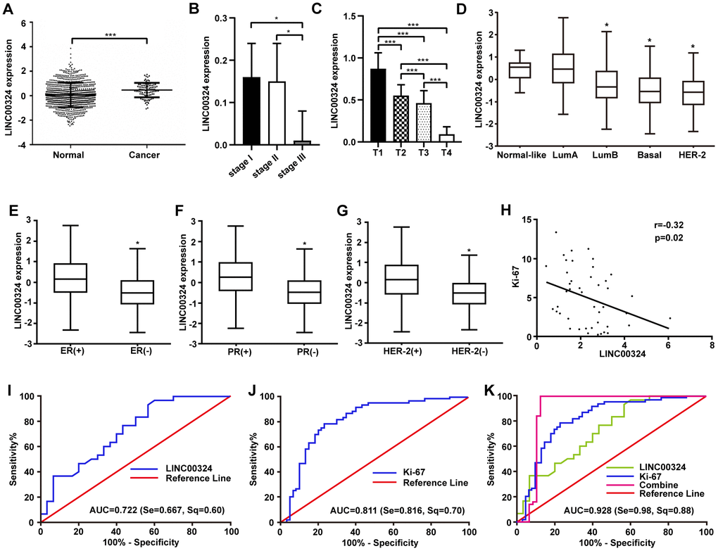 Highly expressed LINC00324 that is involved in breast cancer was identified by bioinformatics prediction. (A) Relative expression of LINC00324 in normal and breast cancer tissue. (B, C) Relative expression of LINC00324 in different clinical stages of breast cancer. (D) Relative expression of LINC00324 in five molecular subtypes of breast cancer. (E) Relative expression of LINC00324 in estrogen receptor (ER)-positive and -negative breast cancer. (F) LINC00324 expression in progesterone receptor (PR)-positive and -negative breast cancer. (G) LINC00324 expression in HER-2-positive and -negative breast cancer. (H) Pearson’s correlation curve showing the negative correlation between the expression of LINC00324 and Ki-67 in breast cancer. (I–K) ROC curve for breast cancer diagnostic value of LINC00324 and Ki-6. All data are shown as means ± SEM. * P P 